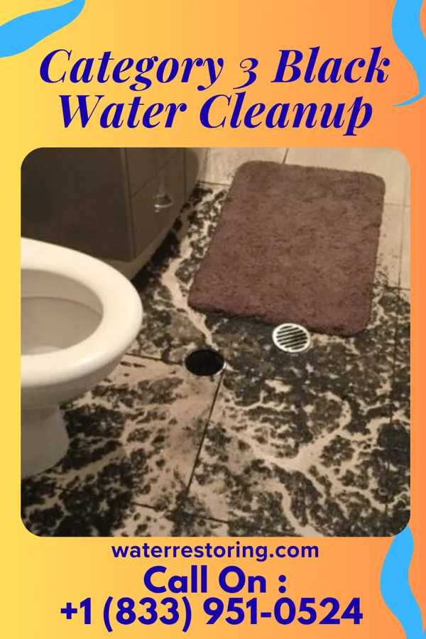 Category 3 Black Water Cleanup in Cissna Park, IL