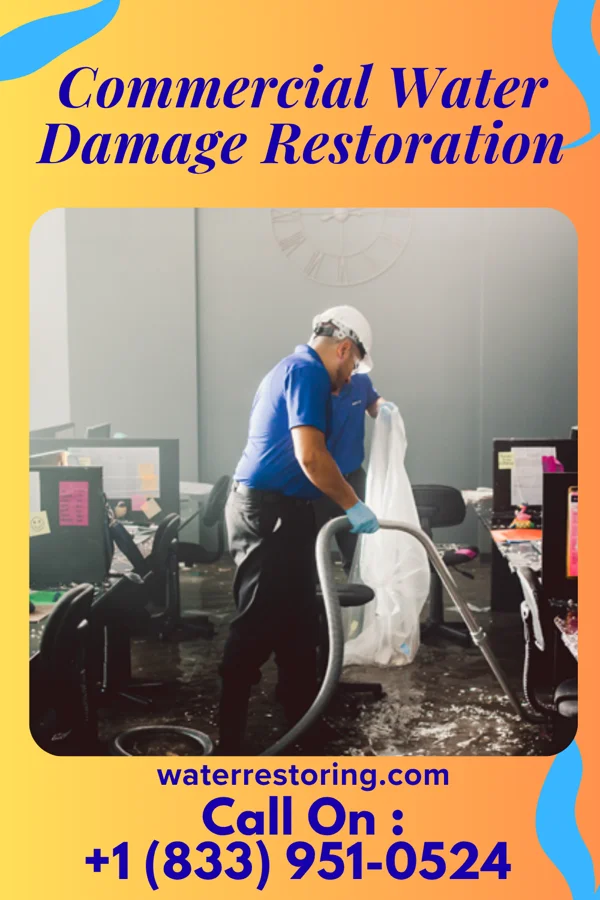 Commercial Water Damage Restoration in Cissna Park, IL