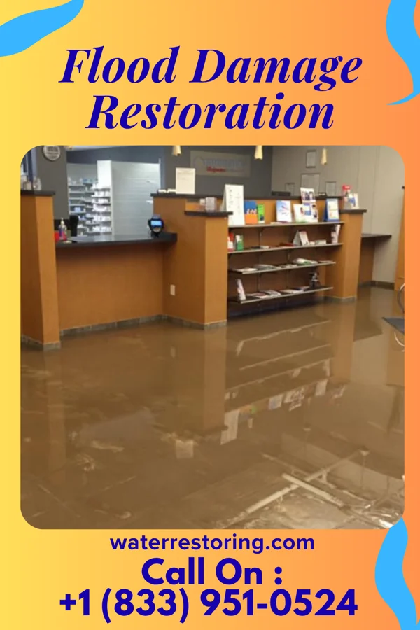 Flood Damage Restoration in Cissna Park, IL